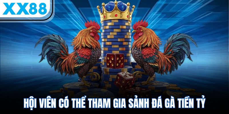 Hội viên có thể tham gia sảnh đá gà tiền tỷ